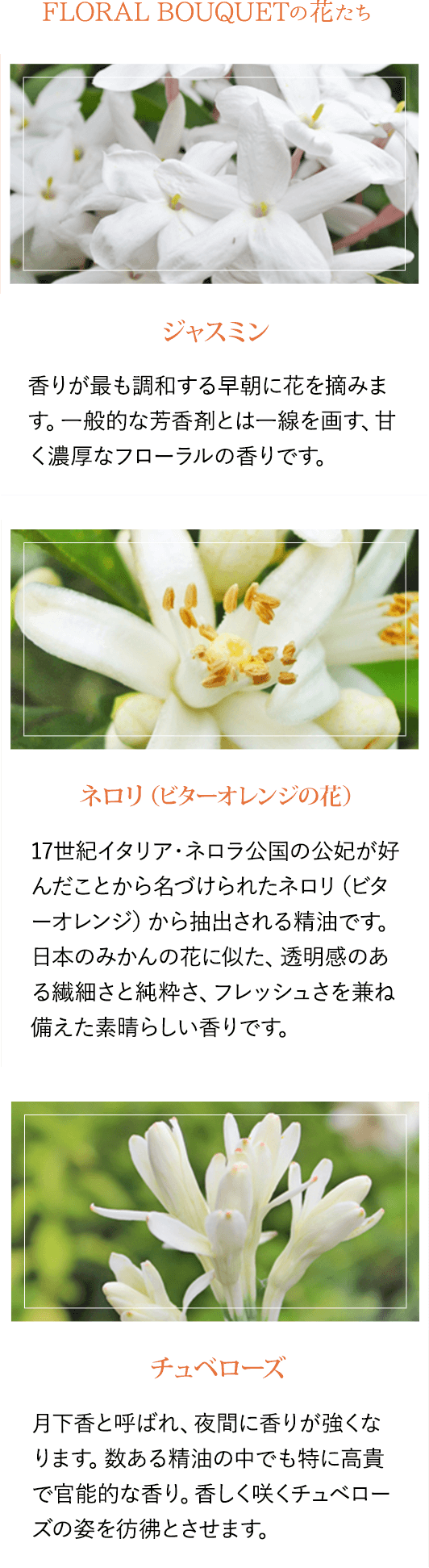 FLORAL BOUQUETの花たち